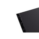 1 Platte TRIPLEX 10 2000 g/m² schwarz 9,6 mm 2100 x...
